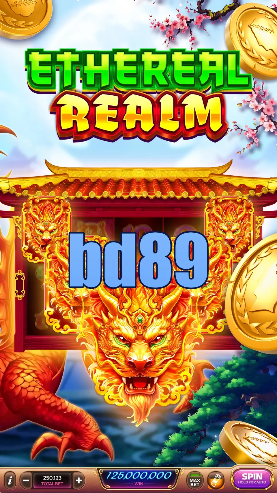 bd89 লগইন